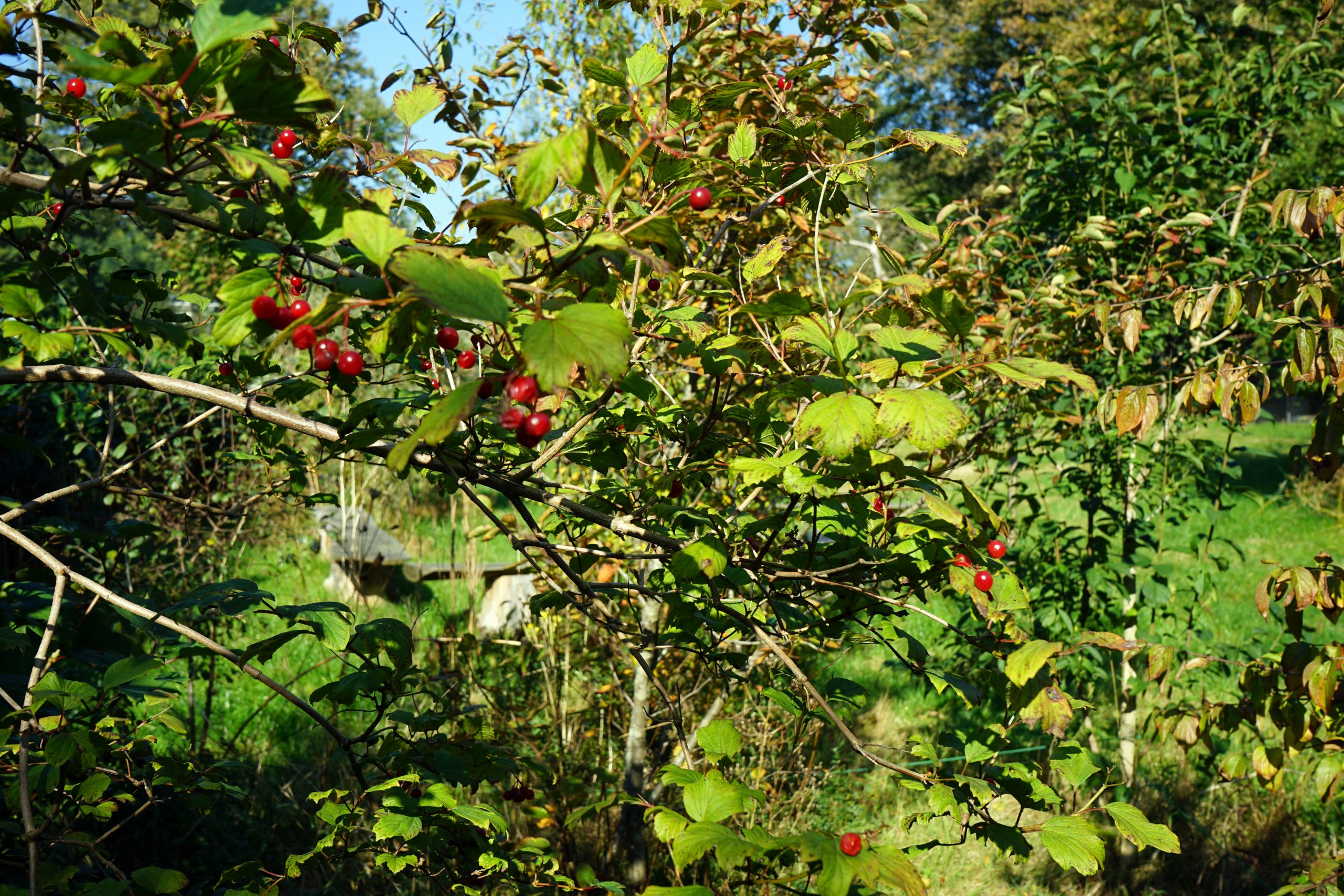 IVN 2 uur Natuur Challenge 2021