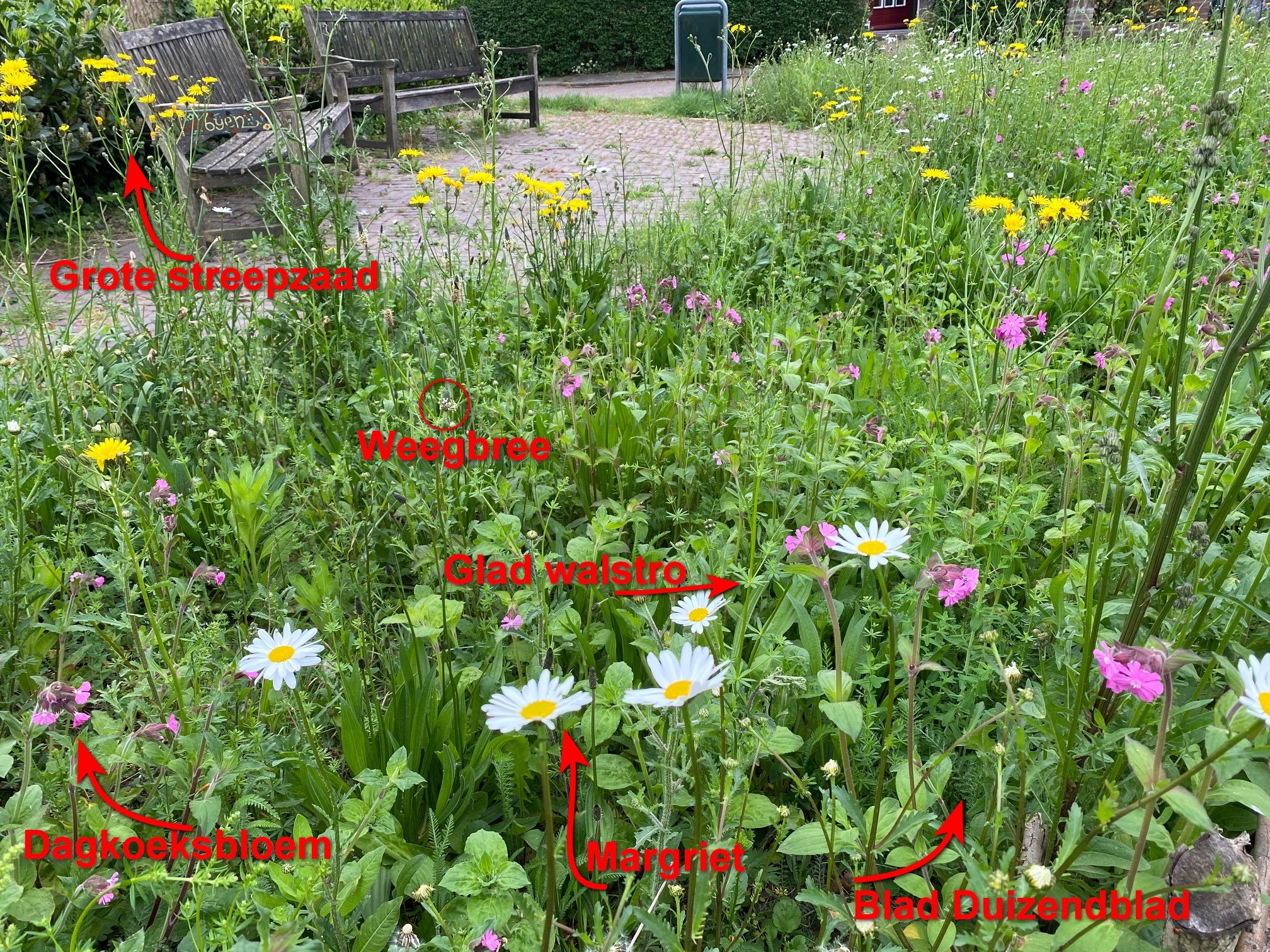 Bloemenperken gaan het tweede jaar in
