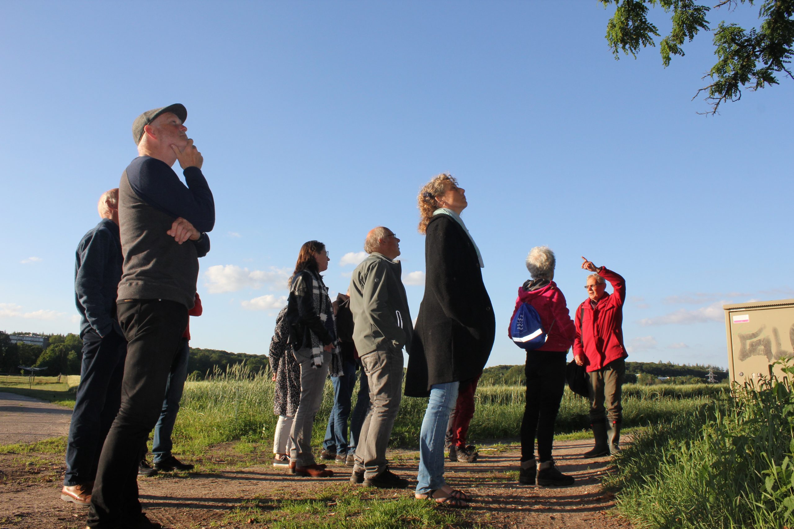 Impressie natuurwandeling in de wijk
