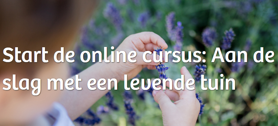 Een natuurvriendelijke tuin in vijf online lessen