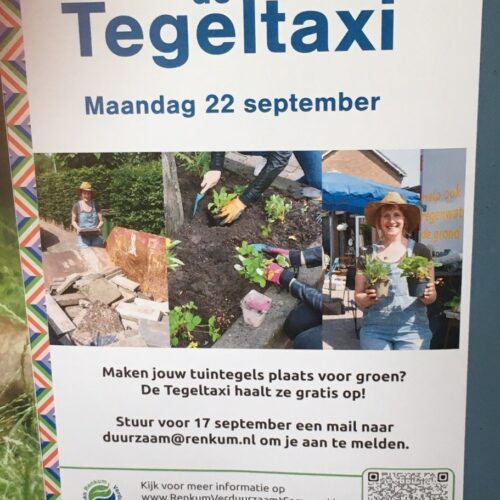 Tegeltaxi: stenen eruit, groen erin!
